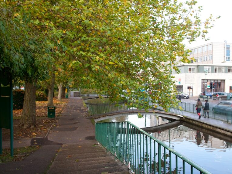 Trees, a woodland path and a stream - in the background a road and buildings